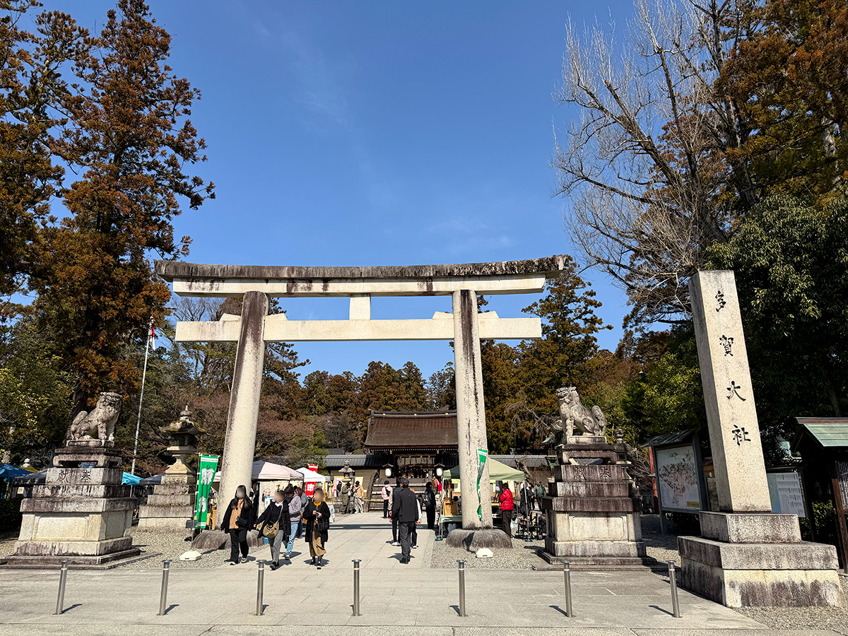 多賀大社の鳥居